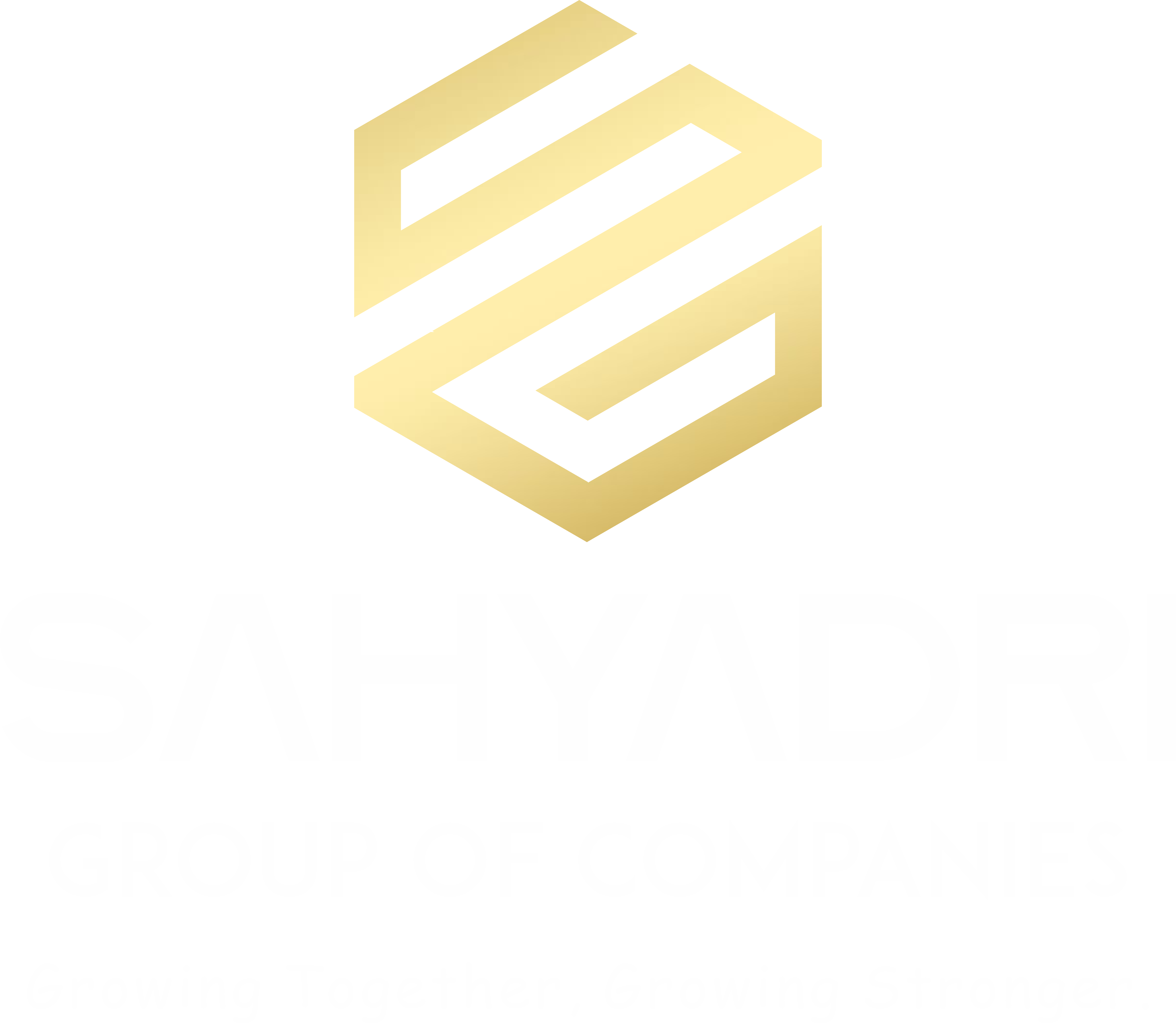 Sahyadri Group Logo